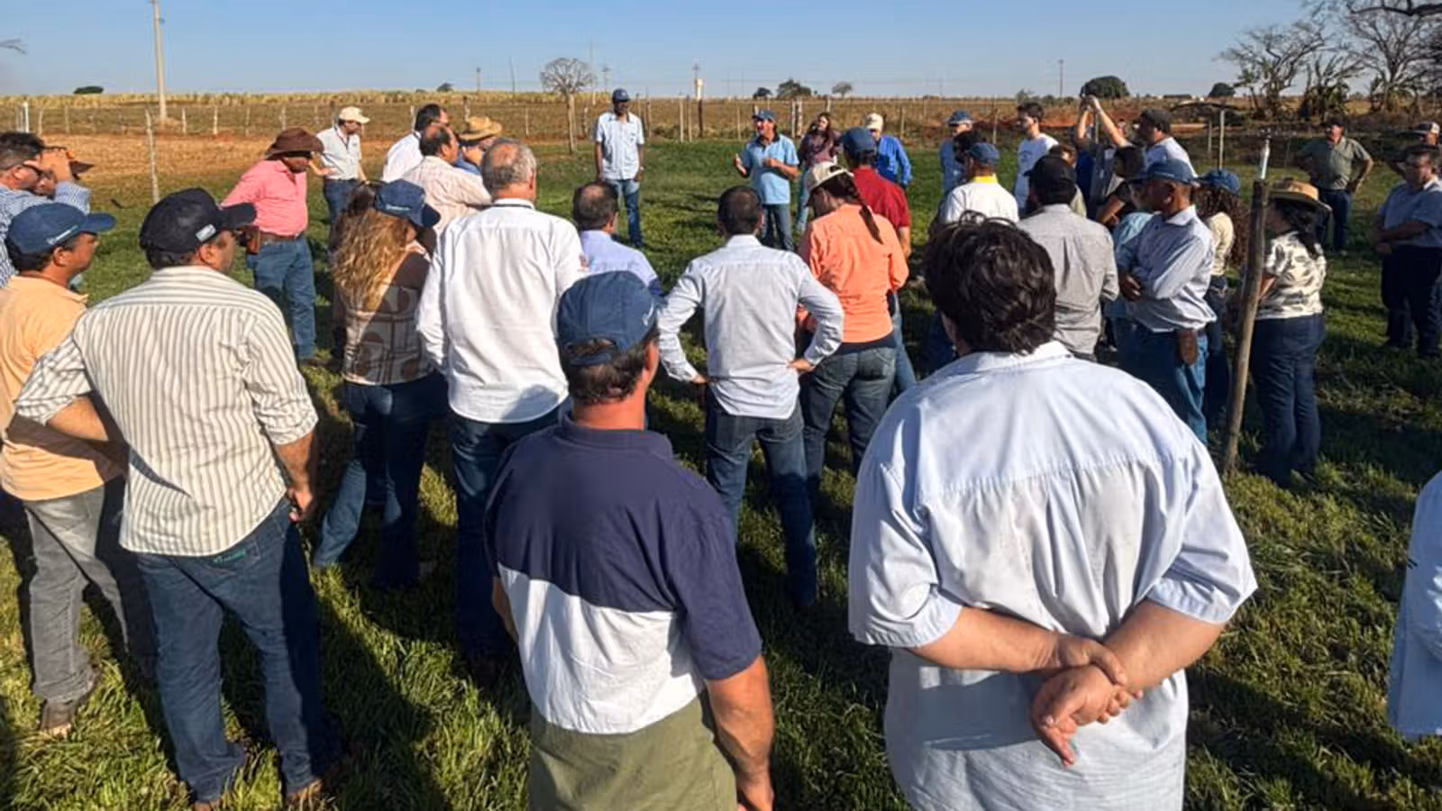 Potirendaba (SP) recebe Dia de Campo voltado à produção de leite
