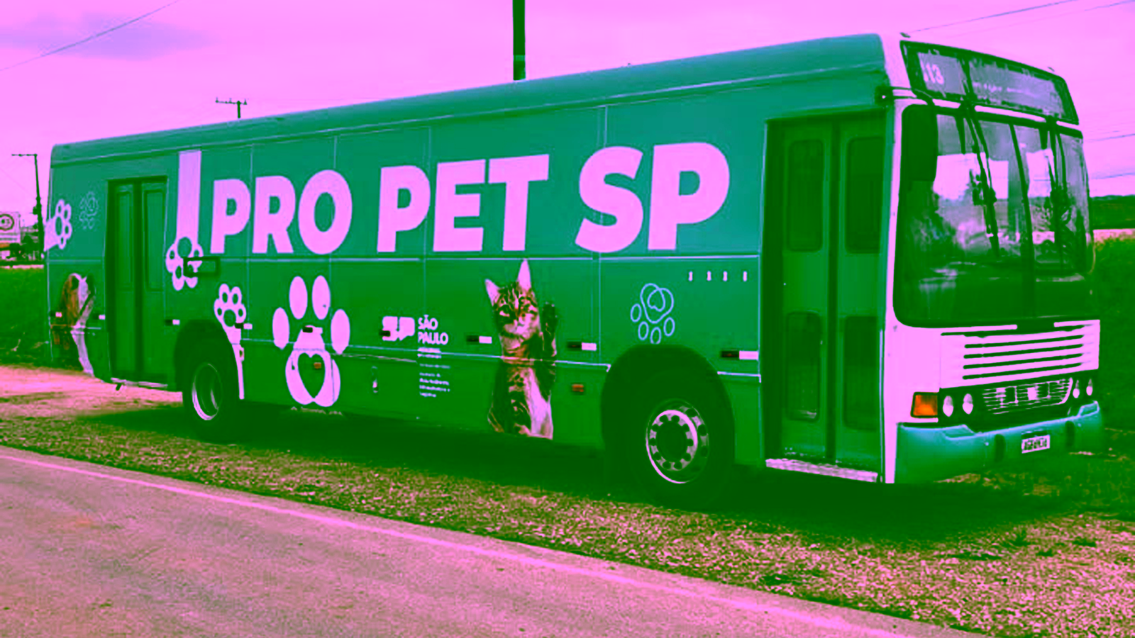 Potirendaba (SP) abre inscrições para castração gratuita de cães e gatos com o Castramóvel