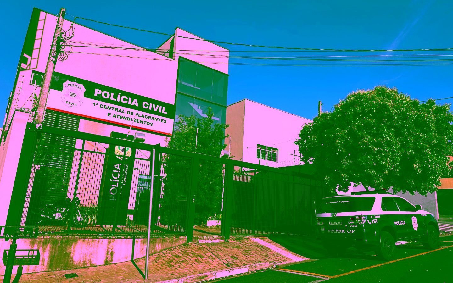 Idosa perde mais de R$ 16 mil após cair no golpe do falso gerente bancário em Rio Preto (SP)