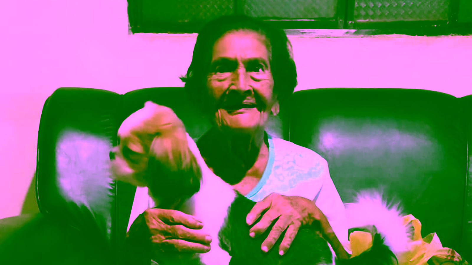 Idosa de 89 anos morre após se engasgar com pedaço de carne durante almoço em Tabapuã (SP)
