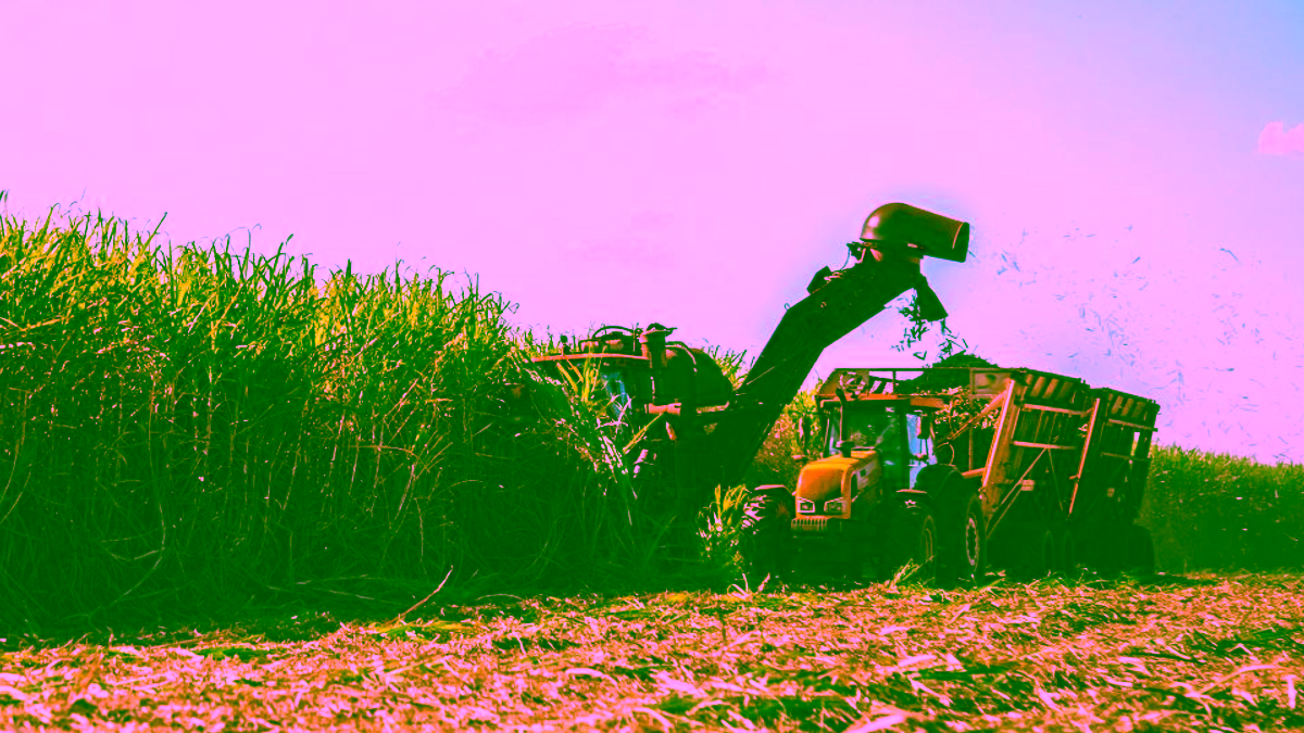 Superávit do agro paulista registra mais de US$ 8 bilhões em cinco meses