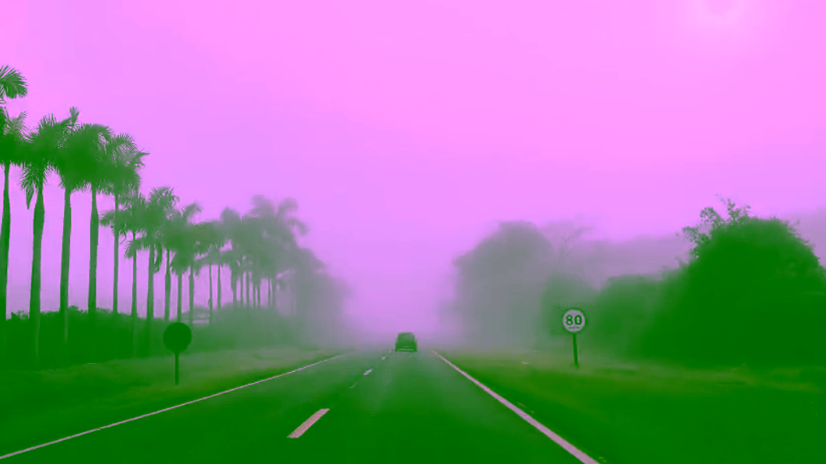 Forte neblina encobre Potirendaba (SP) e exige atenção redobrada de motoristas