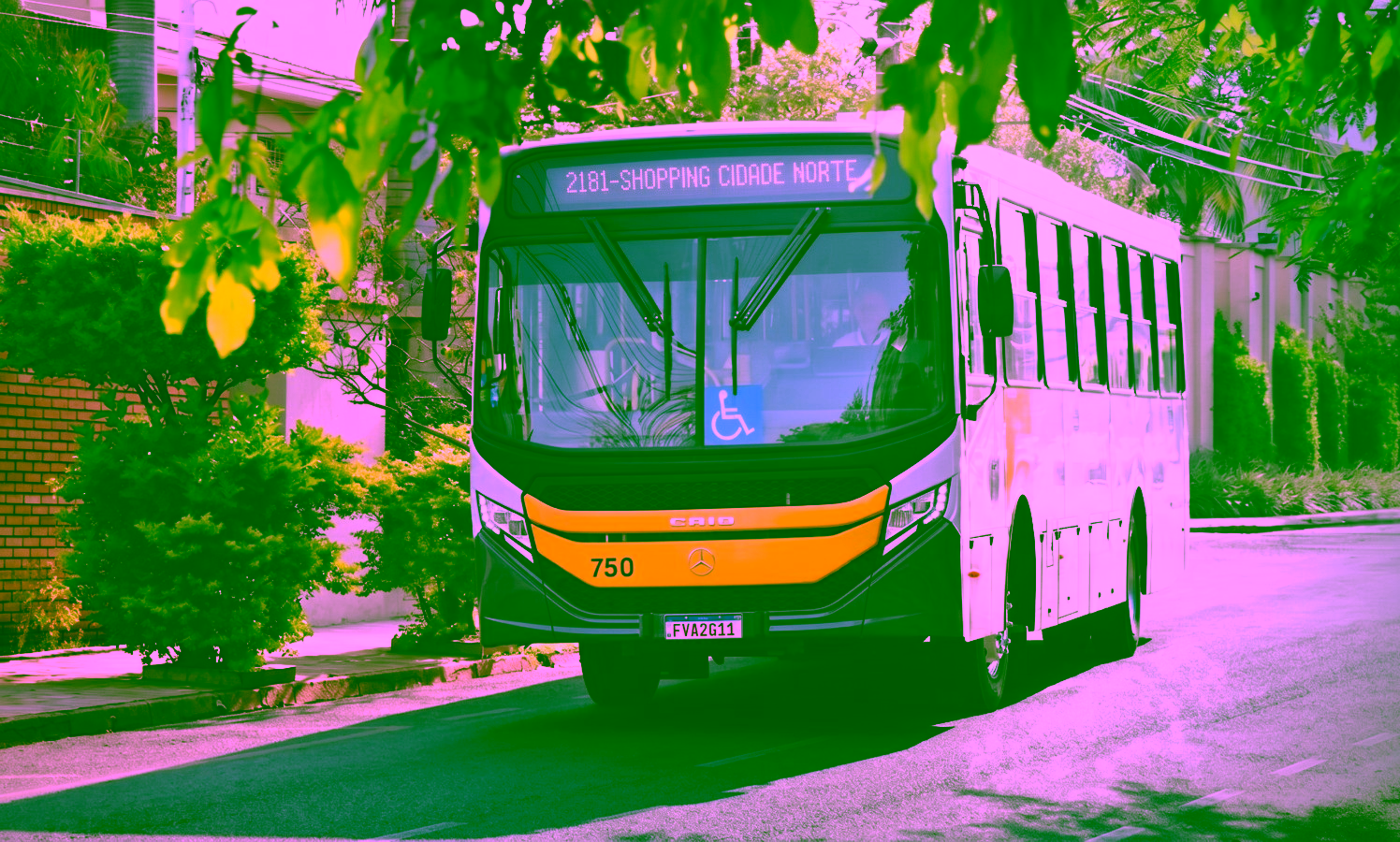 Motorista de ônibus é ameaçado com faca no pescoço durante assalto em Rio Preto (SP)