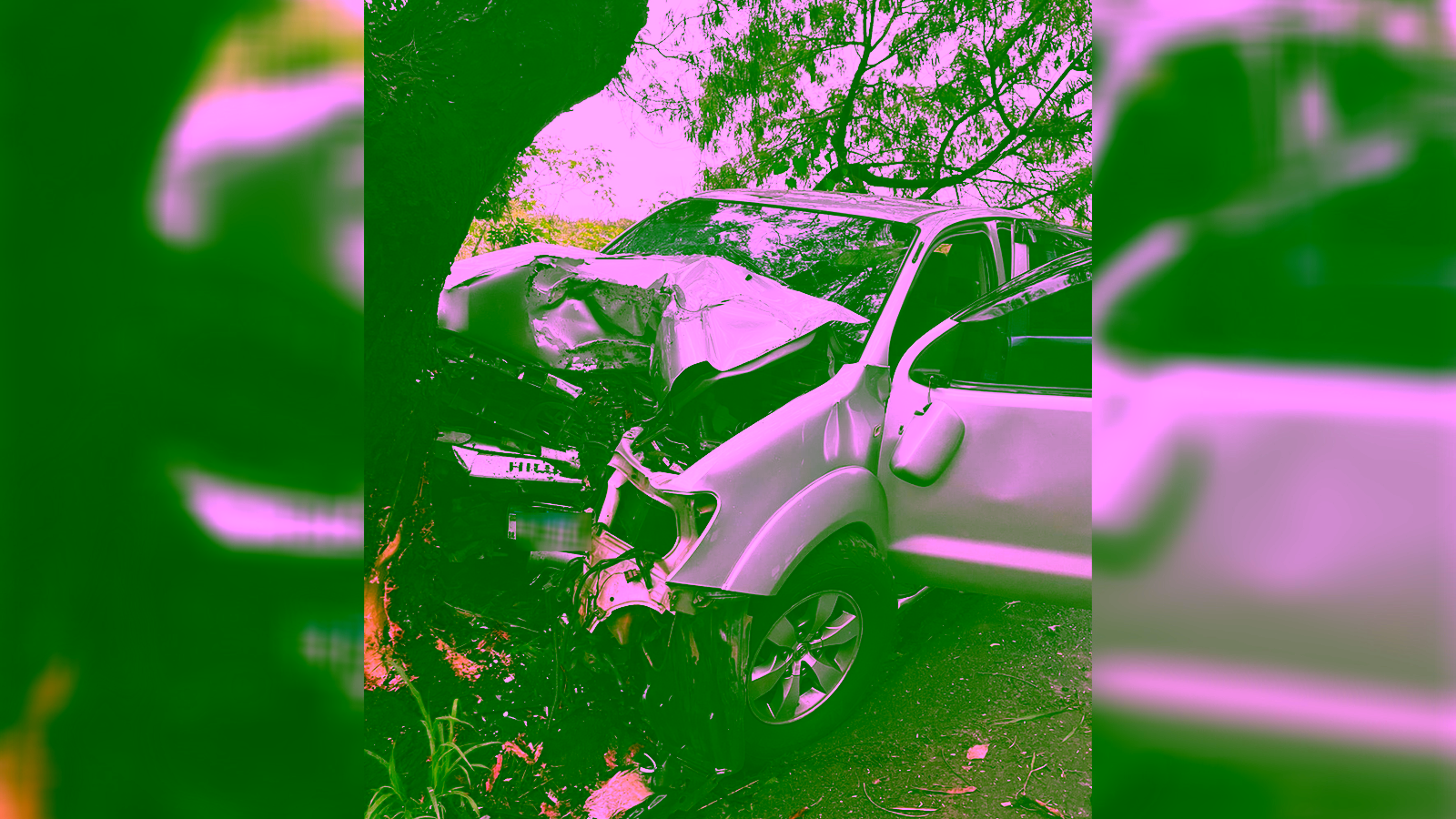 Motorista morre após caminhonete bater contra árvore em avenida de Rio Preto (SP)
