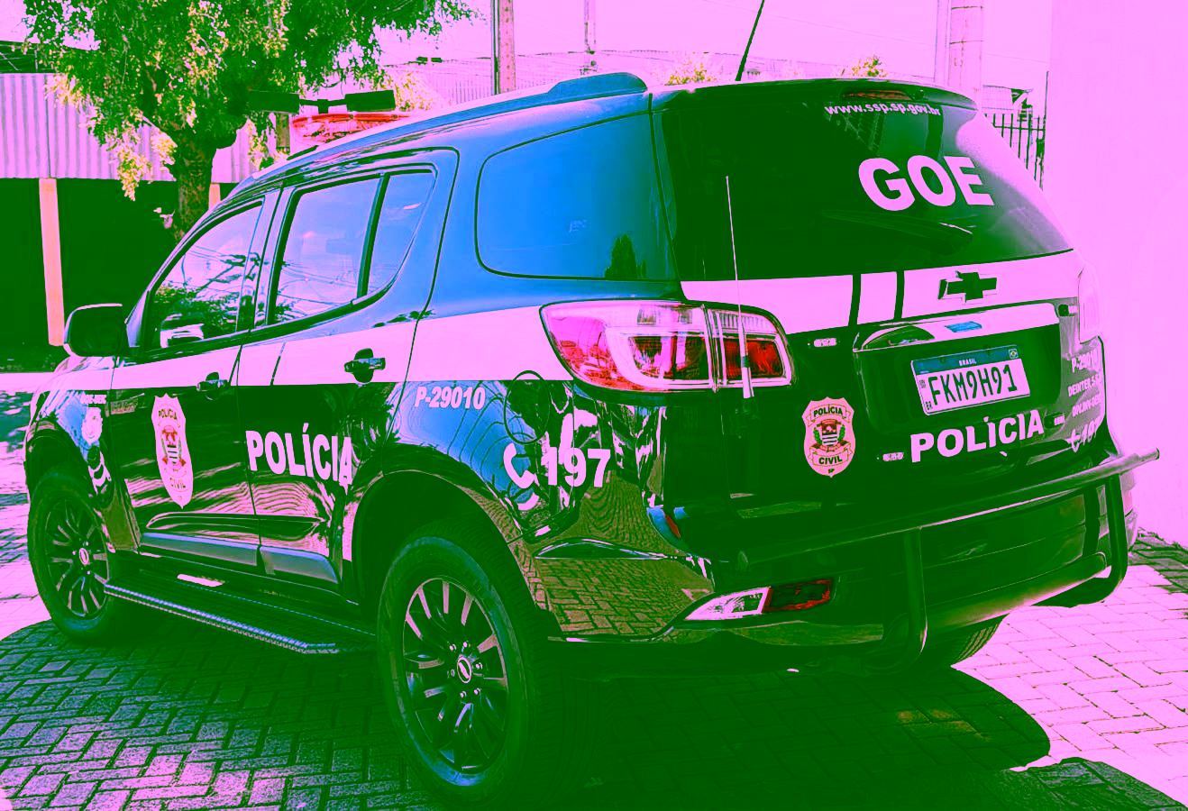 Polícia Civil prende indivíduo de 23 anos condenado por estupro de vulnerável em Rio Preto (SP)