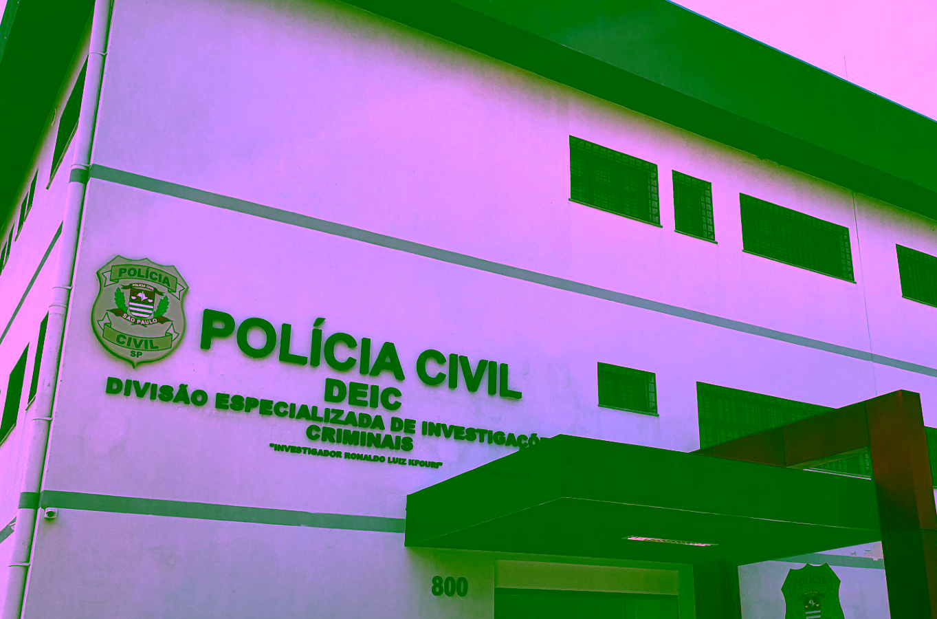 Criminosos invadem sítio e furtam 15 cabeças de gado Nelore, ração e equipamentos em Rio Preto (SP)