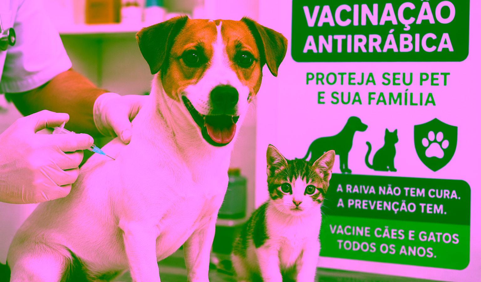 Ibirá reforça vacinação antirrábica de cães e gatos