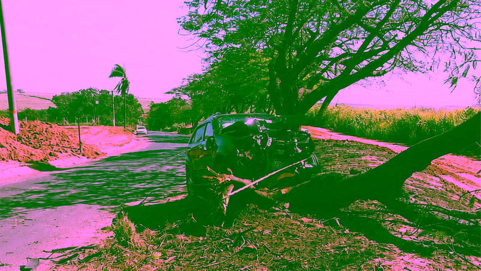 Idosa morre e homem fica gravemente ferido após veículo bater em árvore em Santa Adélia