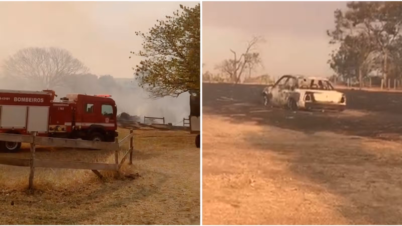 Haras são atingidos por incêndio de grandes proporções em Guapiaçu (SP)